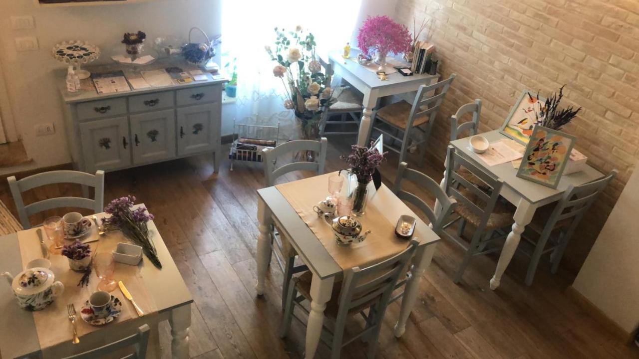 B&B Domar Civitanova Marche Exterior photo